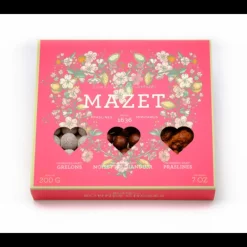 MAZET Assortiment Friandises Boîte Bonnes Choses Cœur 200 g* Chocolats À Offrir|Confiserie