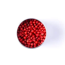 TERRE EXOTIQUE Baies Roses 75 g* Poivre