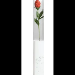 CHOCOLATE WORLD Boites Transparentes pour Fleur en Chocolat x200* Emballage Alimentaire