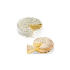 TELLIER Boîte à Camembert* Conservation