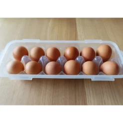 LOCK AND LOCK Boîte 12 Œufs Plastique 32 x 13 cm x H 7,5 cm* Conservation