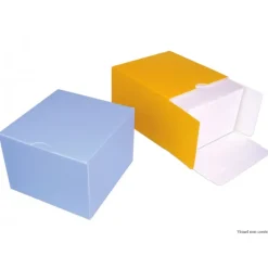 MALLARD FERRIERE Boîte Isotherme Carré 24 cm Vert (x25)* Emballage Alimentaire