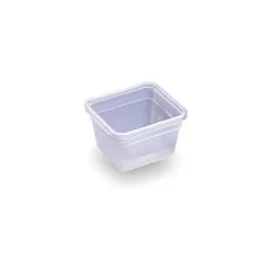 BOURGEAT Boîte Modulus Gastronorme 2 litres GN 1/6 H15 cm* Conservation