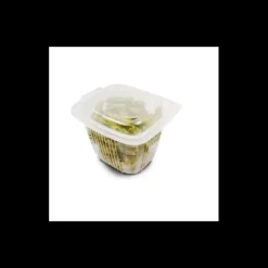 CUISINEADDICT Boîte Plastique avec Couvercle 750 ml 14,2 x 12,3 cm x H 10,5 cm (x50) Ondipack* Conservation