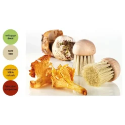 YOOCOOK Brosse à champignons 4 cm* Eplucheurs, Dénoyauteur