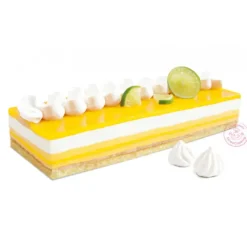 SCRAPCOOKING Cadre Pâtisserie Extensible Inox Rectangle* Cercle À Patisserie