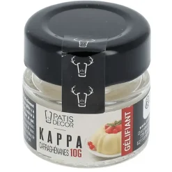 PATISDECOR Carraghénanes Kappa 10 g Patisdécor* Produits Sans Gluten|Additifs Alimentaires