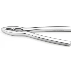 DEGLON Casse Noix Pince à crustacés Inox 16 cm Déglon* Couteau À Poisson|Pilon Et Casse-noix