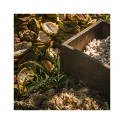 VALRHONA Chocolat de Couverture Noir Manjari 64% 250g* Chocolat De Couverture