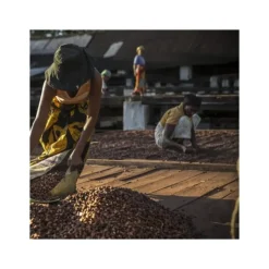 VALRHONA Chocolat de Couverture Noir Millot 74% Bio 250g* Produits Bio|Chocolat De Couverture