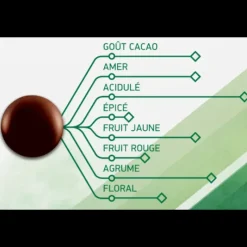 BARRY Chocolat Noir Evocao 72% 2,5 kg* Chocolat De Couverture