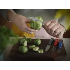 OPINEL Coffret 3 Couteaux de Cuisine et un Eplucheur Primo Les Essentiels* Couteau D'office|Eplucheurs, Dénoyauteur