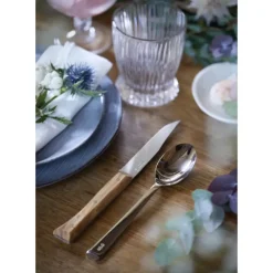 OPINEL Coffret 4 Couteaux de Table Olivier Facette* Couverts