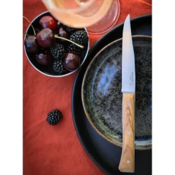 OPINEL Coffret 4 Couteaux de Table Olivier Facette* Couverts