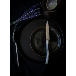 OPINEL Coffret 4 Couteaux de Table Bouleau Lamellé Table Chic* Couverts