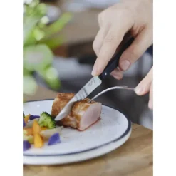 OPINEL Coffret 4 Couteaux de Table N°125 Pro Bon Appétit +* Couverts