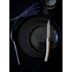 OPINEL Coffret 4 Couteaux de Table Frêne Table Chic* Couverts