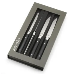 AMEFA Coffret 4 Couteaux Steak Fusion 22 cm* Couverts