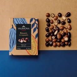VALRHONA Coffret Amandes et Noisettes Enrobées Chocolat Noir et Lait 230 g* Chocolats À Offrir|Confiserie