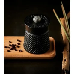 PEUGEOT Coffret Bali Palais des Epices* Moulin