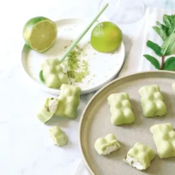 SCRAPCOOKING Coffret Oursons Summer Edition Limitée* Moule Silicone