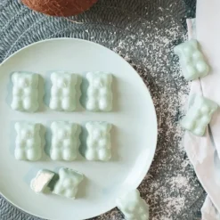 SCRAPCOOKING Coffret Oursons Summer Edition Limitée* Moule Silicone