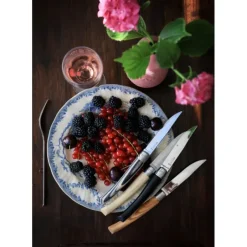 OPINEL Coffret Panaché 4 Couteaux de Table Table Chic* Couverts