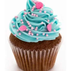 SCRAPCOOKING Colorant Alimentaire en Poudre Bleu 5g* Colorants Alimentaires