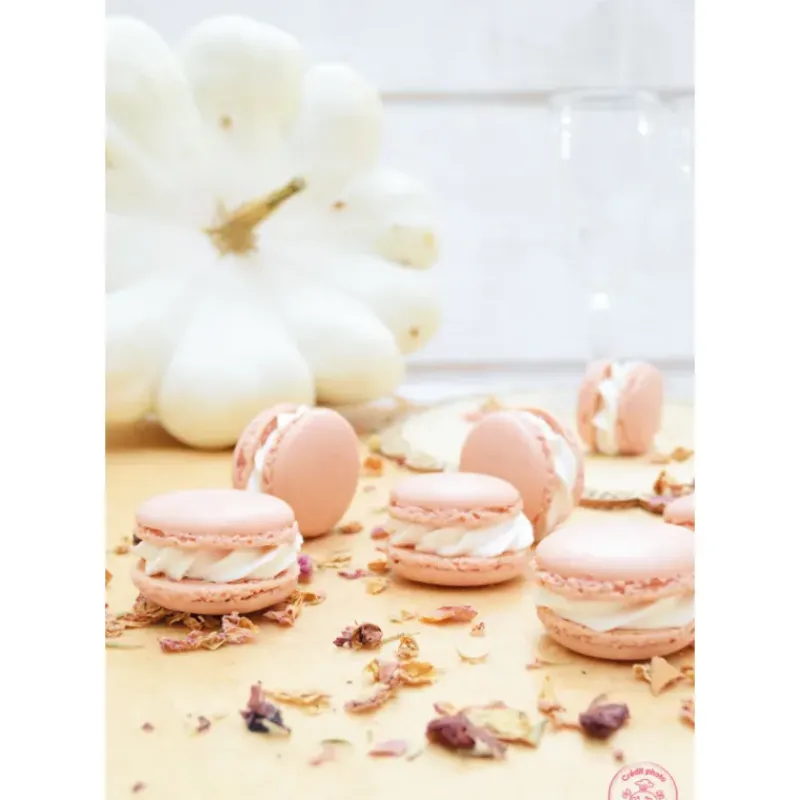 SCRAPCOOKING Colorant Alimentaire en Poudre Rose Pastel 5g* Colorants Alimentaires