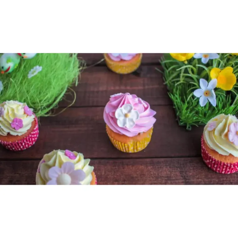 SCRAPCOOKING Color'Arôme Rose / Framboise 10g* Arômes Alimentaires