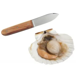 La Bonne Graine Couteau Coquille Saint Jacques Tellier* Couteau À Poisson