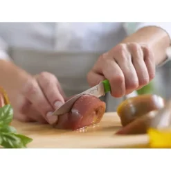 OPINEL Couteau d'Office 10 cm Cranté Vert Les Essentiels +* Couteau D'office