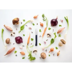 OPINEL Couteau d'Office N°225 Intempora* Couteau D'office