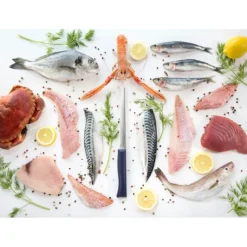 OPINEL Couteau Effilé N°221 Intempora* Couteau À Poisson