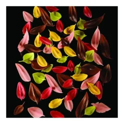 PAVONI Couteau Inox Feuille 6 x 3 cm Flychoc* Ustensiles Chocolat