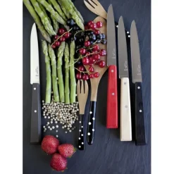 OPINEL Couteaux de Table (x4) Loft Bon Appétit !* Couverts