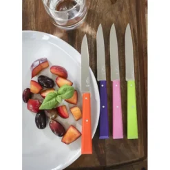 OPINEL Couteaux de Table (x4) Pop Bon Appétit !* Couverts