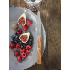 OPINEL Couteaux de Table (x4) Sud Bon Appétit !* Couverts