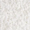 FLORENSUC Décors en Sucre Flocons de Neige 1 kg* Décoration Comestible