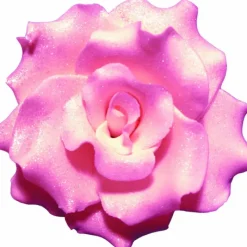 MALLARD FERRIERE Fleur en sucre Rose frisées couleur rose Ø 7 cm Mallard Ferrière* Décoration Comestible
