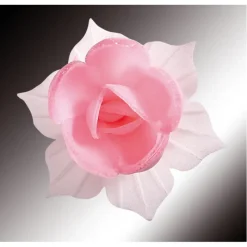 FLORENSUC Fleurs de Jonquille rose x5 - en Azyme* Décoration Comestible