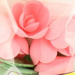 FLORENSUC Fleurs de roses x6, grandes feuilles x12 - en Azyme* Décoration Comestible