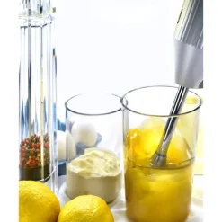 BAMIX Mixeur Plongeant M250 - Coffret Black Edition* Mixeur Plongeant