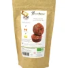MIRONTAINE Moelleux BIO au Chocolat 230g* Produits Bio|Préparation Pâtisserie