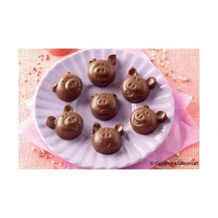 EASY CHOC Moule à Chocolat 15 Cochons - Silicone Spécial Chocolat* Moules À Chocolat|Moule Silicone