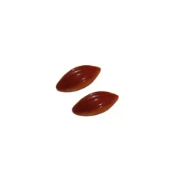 BARRY Moule Chocolat Bonbon Cabosse 50x20mm (x24)* Moules À Chocolat