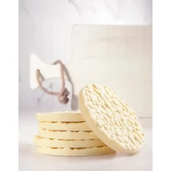 CHOCOLATE WORLD Moule Chocolat Disque Riz Soufflé Ø 99,13 mm (x2)* Moules À Chocolat