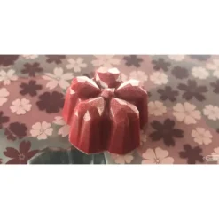 CHOCOLATE WORLD Moule Chocolat Fleur de Cerisier Sakura Kohei Ogata (x21)* Moules À Chocolat