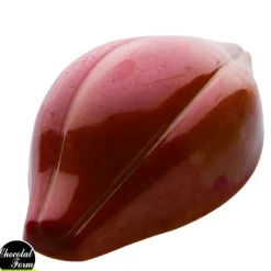 Chocolat Form Moule Chocolat Fève Cacao 47,5 mm (x24)* Moules À Chocolat