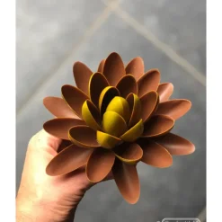 CHOCOLATE WORLD Moule Chocolat Lentille Oblique 62,5 mm (x14)* Moules À Chocolat